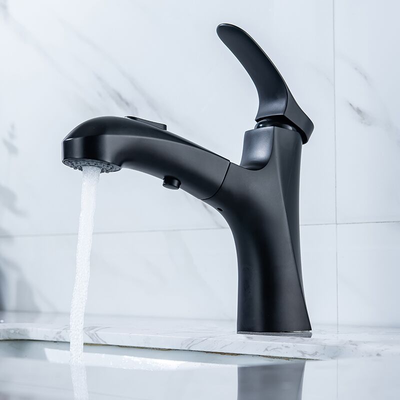 Wholesale Hotel Bathroom Single Hot Cold With Hose pull down Basin Faucet China Water Saver Faucet Bathroom Sanitary Ware Brass Matte Black Pull Out Basin Faucet 4 Wholesale Hotel Bathroom Single Hot Cold With Hose pull down Basin Faucet