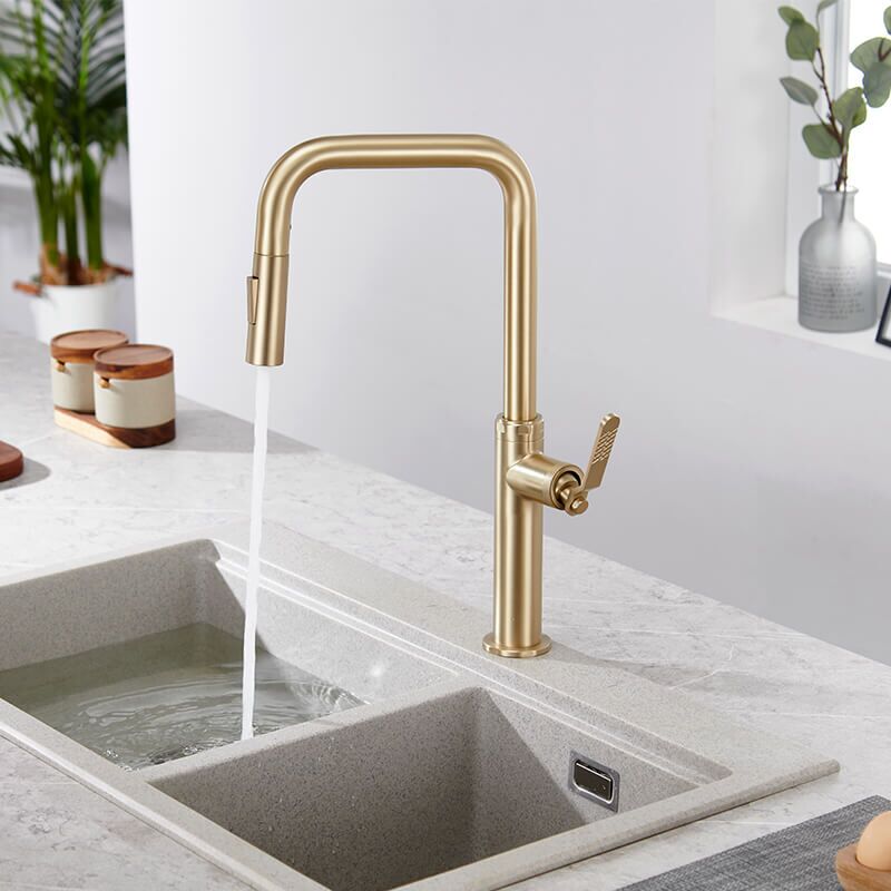 Commercial Kitchen Faucets Brushed Gold Pull out Kitchen Sink Faucets with pull down sprayer Faucets sink mixer tap Swivel Drinking Filter Water Faucet Water Purifier Kitchen Faucets