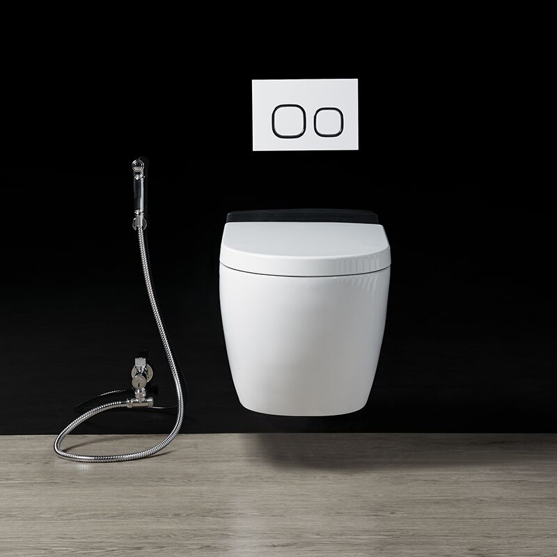 Bathroom Sanitary Ware White Ceramic In Wall Mounted Pulse Toilet IMG 9999 17 1 Bathroom Sanitary Ware White Ceramic In Wall Mounted Pulse Toilet - Image 2