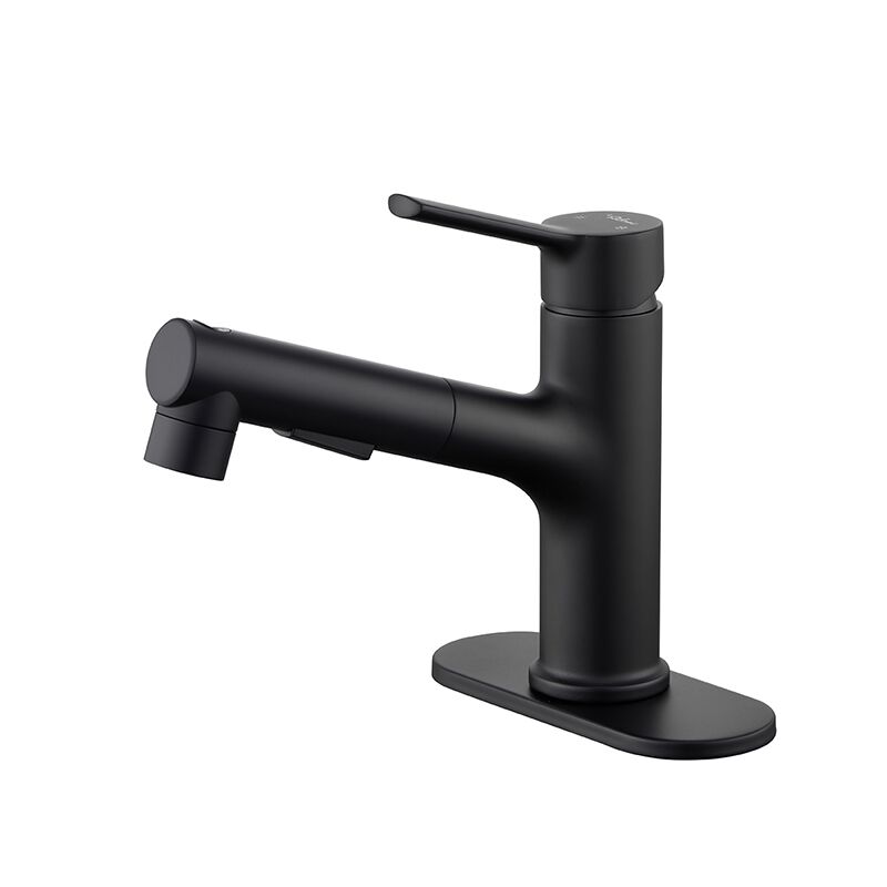 China Faucet Factory Wholesale USA Sell Well Brass Bathroom Sink Faucet With Pull Out Sprayer Brass Bathroom Sink Faucet With Pull Out Sprayer Fábrica de grifos de China, venta al por mayor, EE. UU., grifo de lavabo de baño de latón bien vendido con rociador extraíble