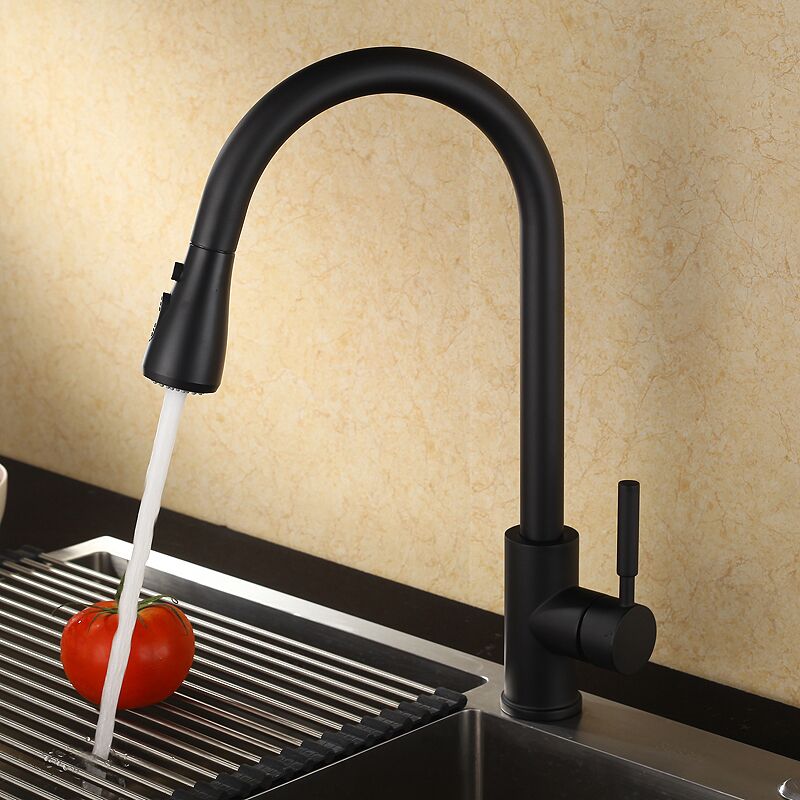 Faucet manufacturer batch kitchen faucet pull out matte black kitchen sink faucet with hose Faucet manufacturer batch kitchen faucet pull out matte black kitchen faucet with hose 1 Faucet manufacturer batch kitchen faucet pull out matte black kitchen sink faucet with hose